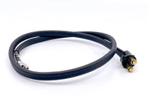 PARK LIGHT SOCKET WIRING - 49-50 PASS RH WITH TURN SIGNAL