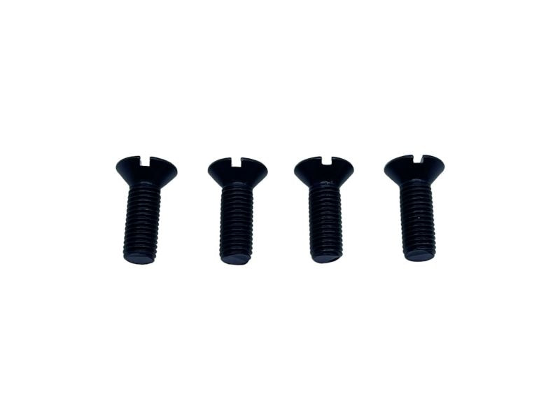 DOOR STRIKER SCREW - 32 ROADSTER/ PHAETON SET OF 4