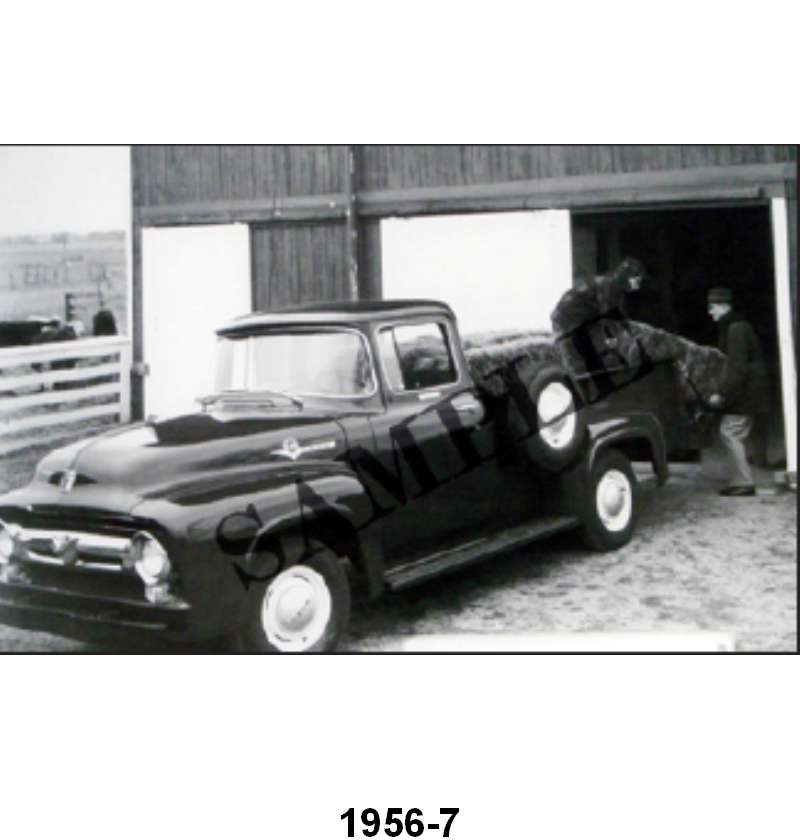 BLACK AND WHITE PICTURES - 56 F-100 CUSTOM CAB BIG