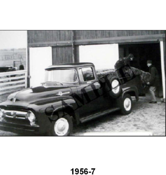 BLACK AND WHITE PICTURES - 56 F-100 CUSTOM CAB BIG
