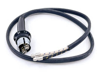 PARK LIGHT SOCKET & WIRING - 51 PASSENGER RIGHT HAND W/TURN