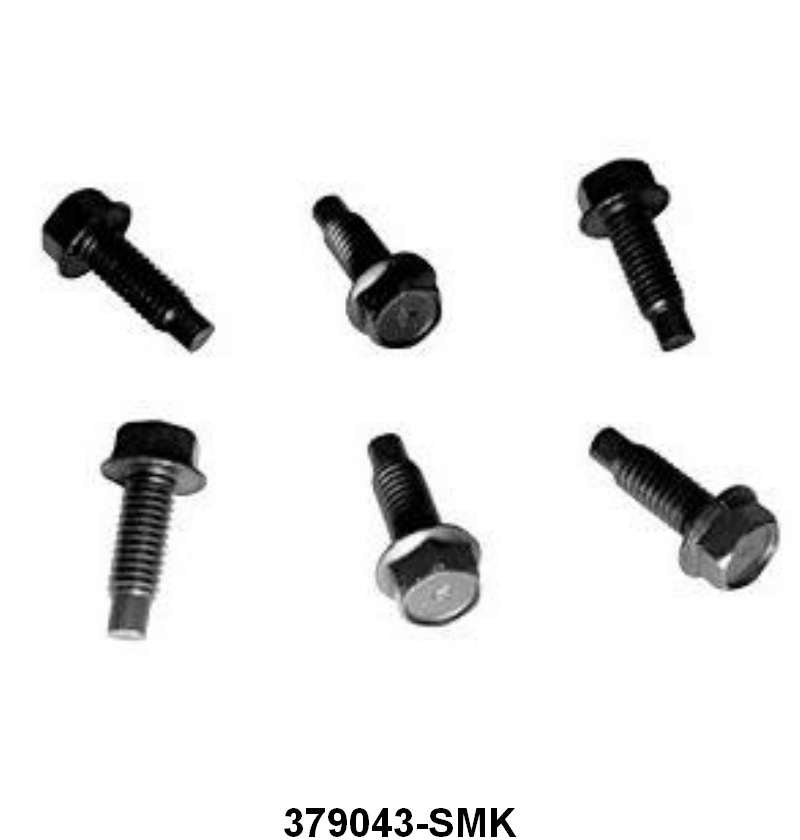 DOOR HINGE BOLT - 64-65 FLCN/FRLN/MUST 6 PIECES 3/8"-16