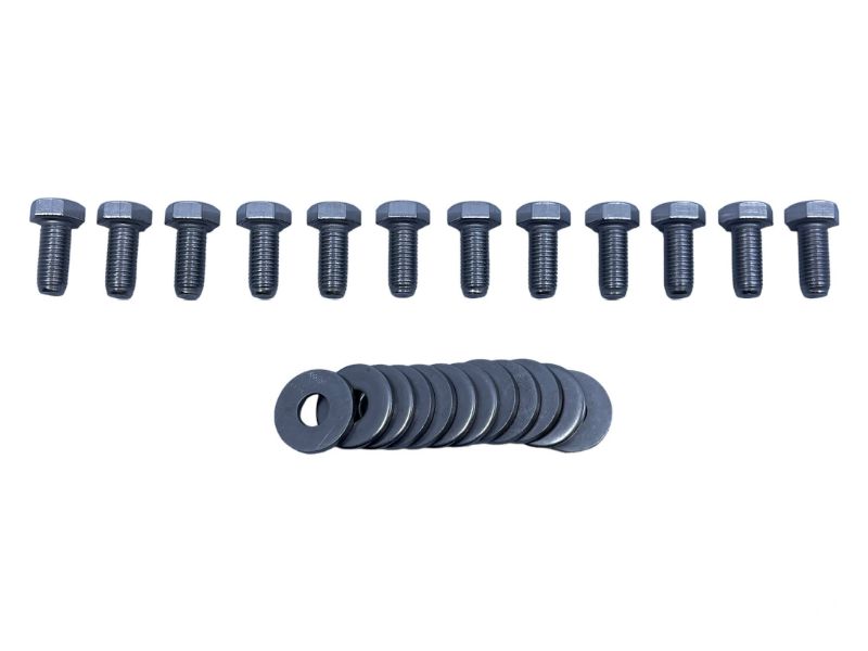 DOOR HINGE BOLT - 57-60 F-100/F-350, STAINLESS, SET OF 12