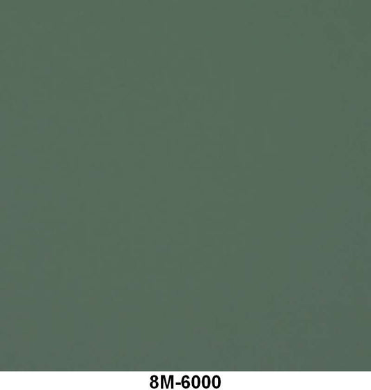 ENGINE PAINT BY THE QUART - 49-53 MERCURY LIGHT GREEN