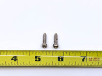 HEADLIGHT BEZEL/DOOR SCREWS - 55 PASSENGER SET OF 2