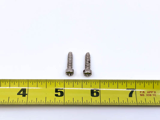 HEADLIGHT BEZEL/DOOR SCREWS - 55 PASSENGER SET OF 2