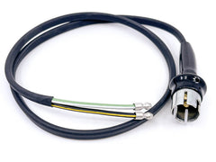 PARK LIGHT SOCKET & WIRING - 55-56 F-100/F-350 LH WITH TURN