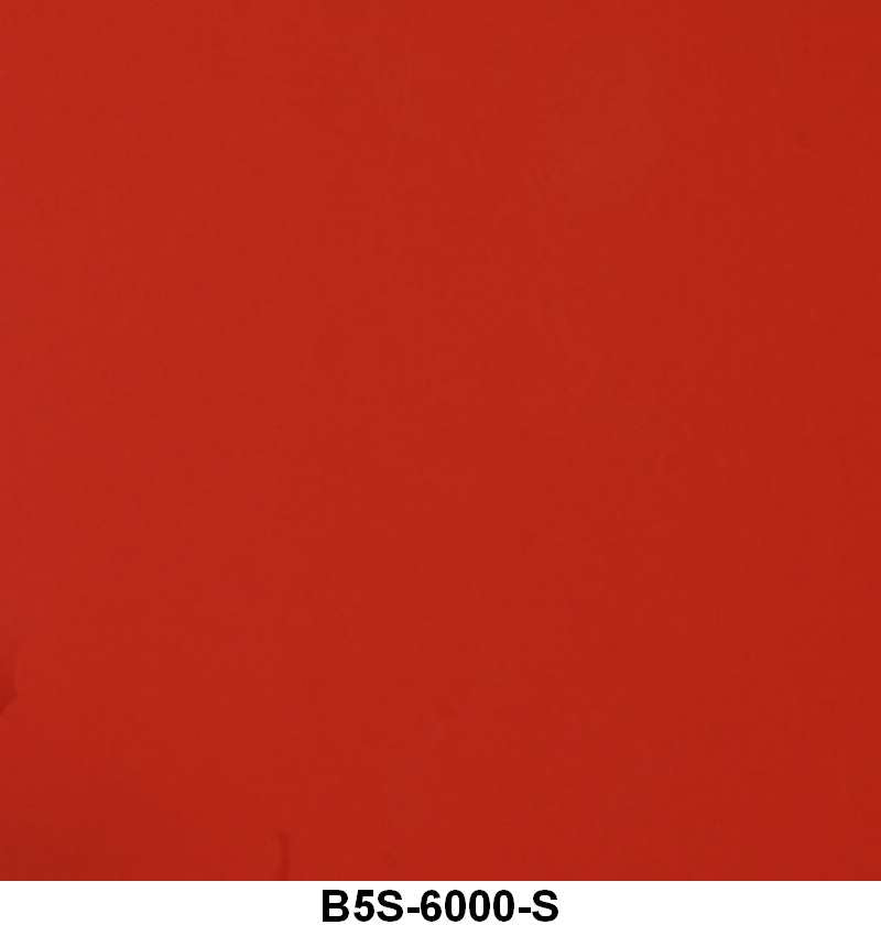 ENGINE SPRAY PAINT - 55-57 PASS/TBIRD V8 RED ORANGE