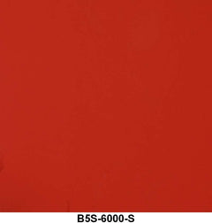 ENGINE SPRAY PAINT - 55-57 PASS/TBIRD V8 RED ORANGE