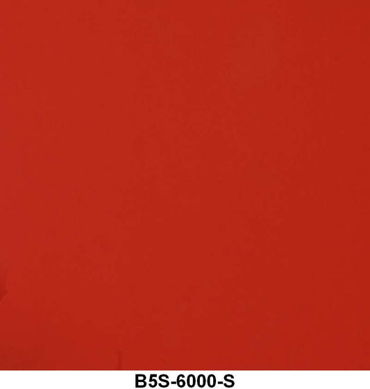 ENGINE SPRAY PAINT - 55-57 PASS/TBIRD V8 RED ORANGE