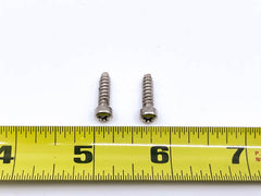 HEADLIGHT BEZEL/DOOR SCREWS - 56 PASSENGER SET OF 2