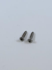 HEADLIGHT RIM SCREWS - 57 PASS/RANCHERO SET OF 2