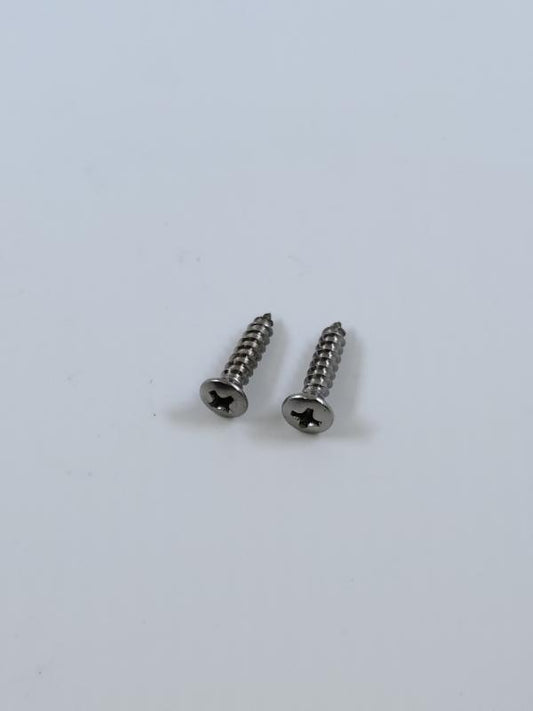HEADLIGHT RIM SCREWS - 57 PASS/RANCHERO SET OF 2