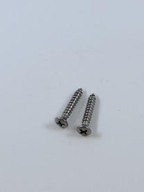 HEADLIGHT RIM SCREWS - 59 PASS/RANCHERO SET OF 2
