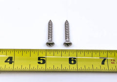 HEADLIGHT BEZEL/DOOR SCREWS - 52 PASS, SET OF 2