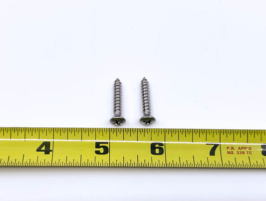 HEADLIGHT BEZEL/DOOR SCREWS - 53 PASS, SET OF 2