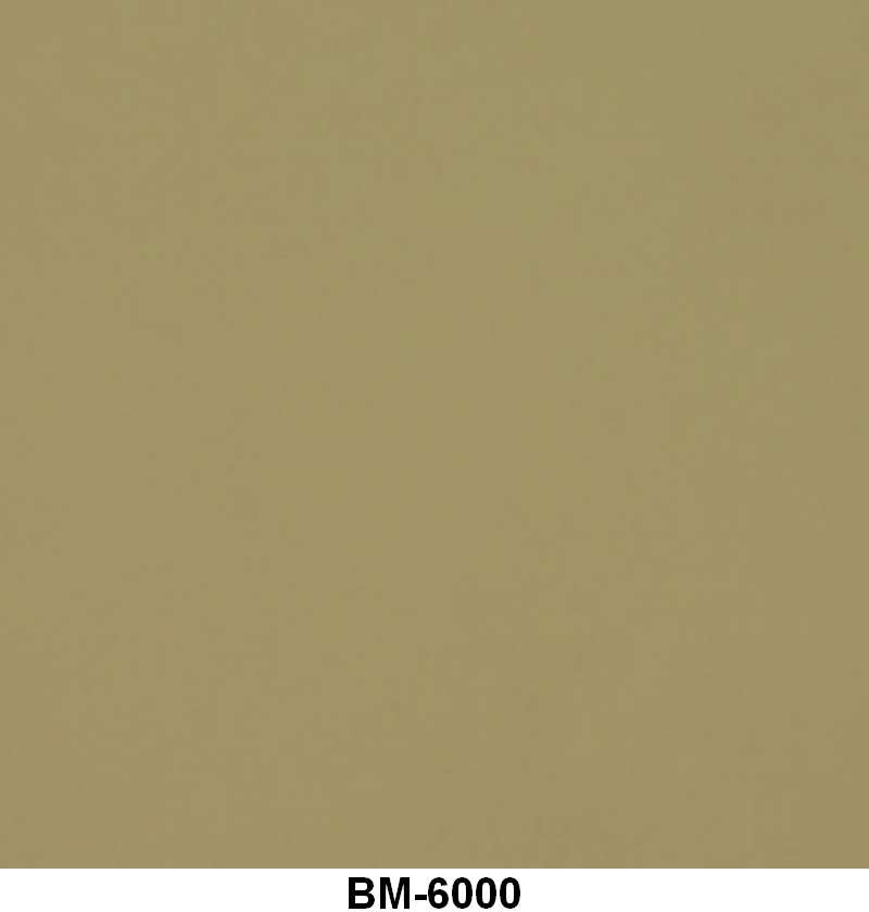 ENGINE PAINT BY THE QUART - 54 PASSENGER CREAM