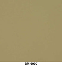 ENGINE PAINT BY THE QUART - 54 PASSENGER CREAM