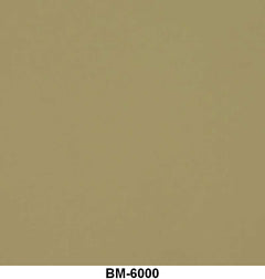 ENGINE PAINT BY THE QUART - 54 PASSENGER CREAM