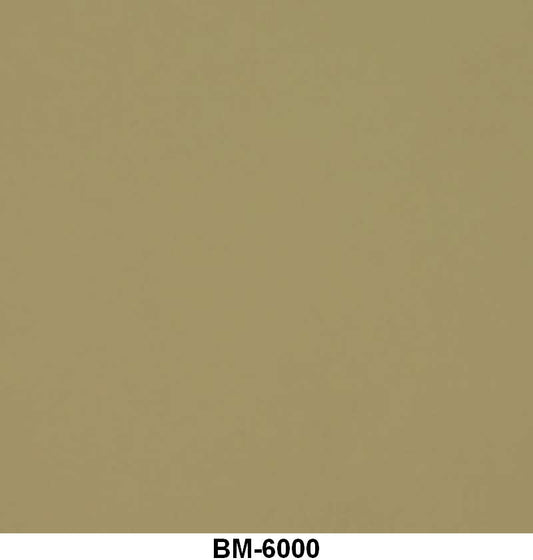 ENGINE PAINT BY THE QUART - 54 PASSENGER CREAM