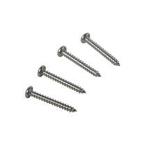 STYLESIDE TAIL LIGHT LENS SCREWS - 64-72 F-100/F-250 68-74 ECONO
