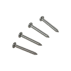 STYLESIDE TAIL LIGHT LENS SCREWS - 64-72 F-100/F-250 68-74 ECONO