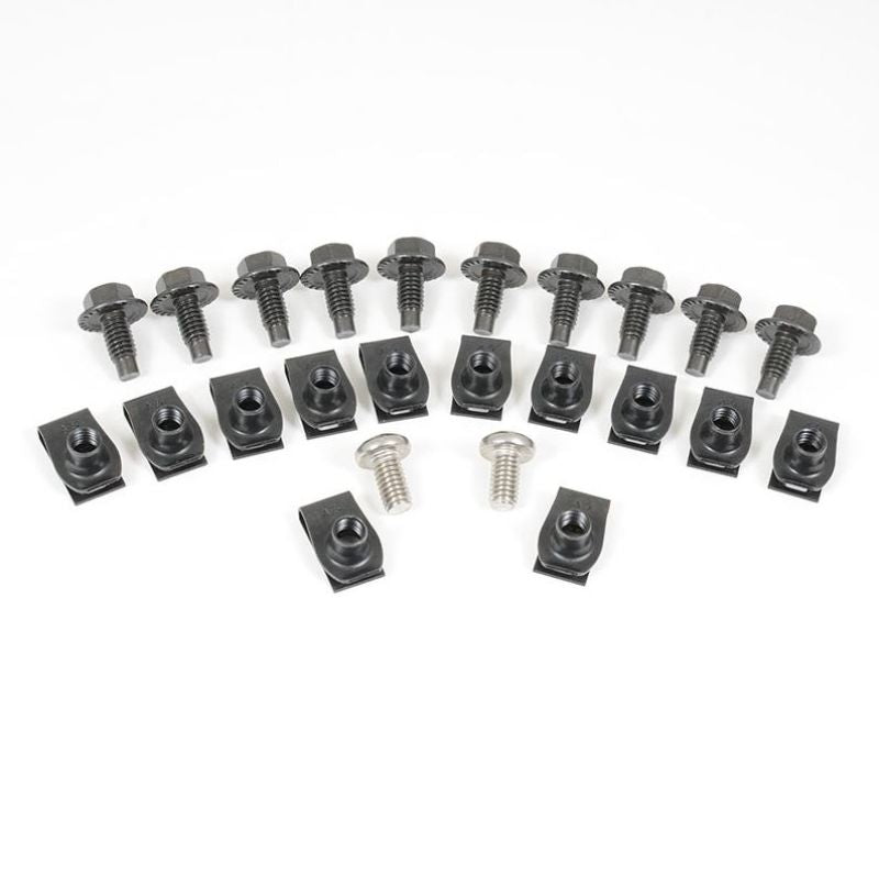 GRILLE MOUNTING HARDWARE KIT - 65-66 F-100/F-350 (24 pcs)