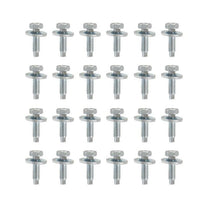 DOOR HINGE MOUNTING BOLTS - 67-72 F-100/F-350, SET OF 24