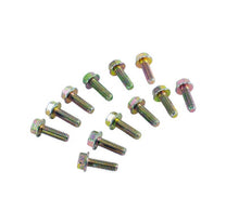DOOR HINGE MOUNTING BOLTS - 73-79 F-100/F-350, SET OF 12