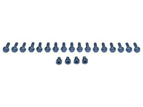 STYLESIDE TAILGATE BOLT KIT - 73-79 F-100/F-350 (21 pcs)