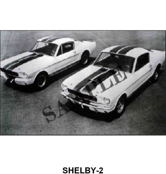 BLACK AND WHITE PICTURE - 65 SHELBYS (1) GT-350 (1) GT-350R