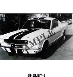 BLACK AND WHITE PICTURE - 65 SHELBY GT-350 3/4 FRONT VIEW