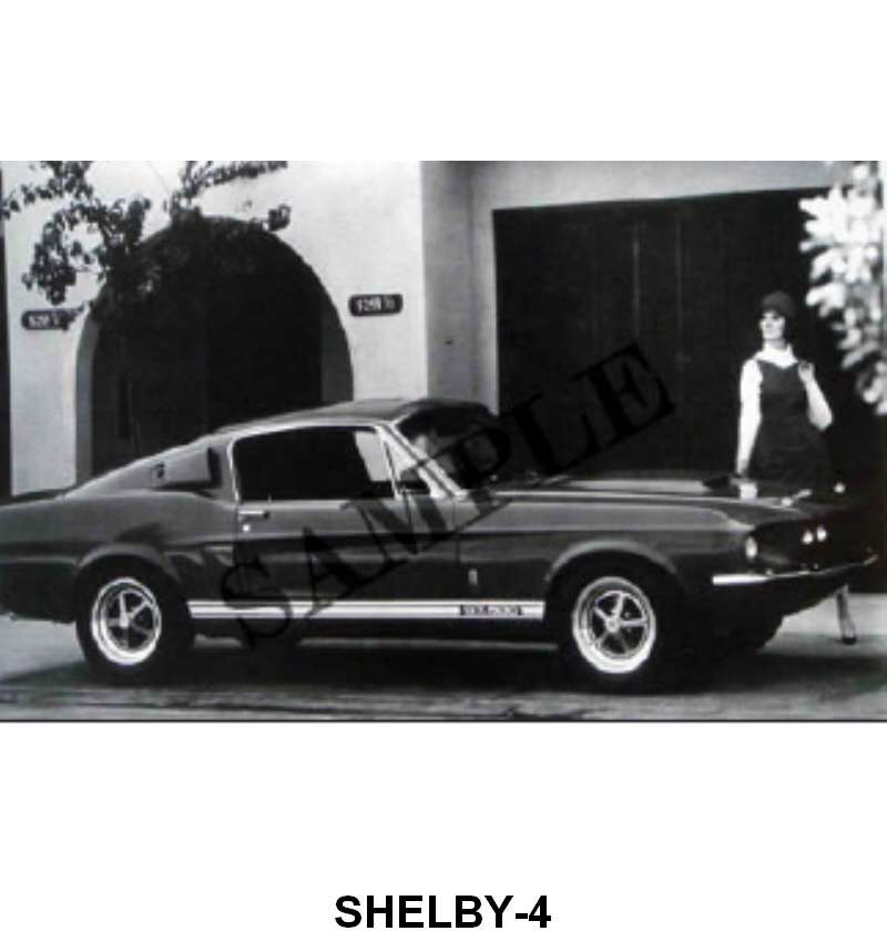 BLACK AND WHITE PICTURE - 67 SHELBY GT 500 FASTBACK-SIDE VIEW