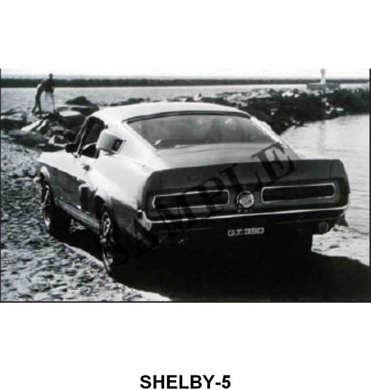 BLACK AND WHITE PICTURE - 67 SHELBY GT350 FASTBACK REARVIEW